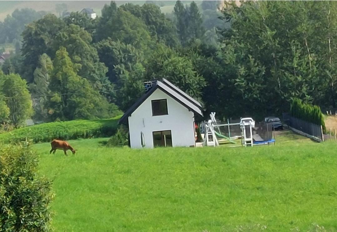 Domek Pod Holica 2 Bieszczady Ustrzyki Dolne Esterno foto