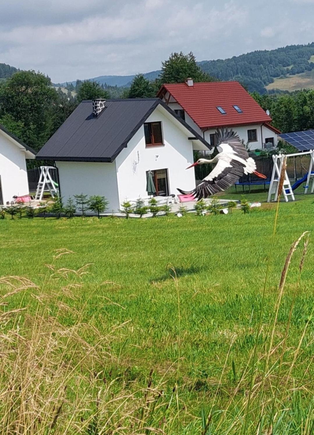 Domek Pod Holica 2 Bieszczady Ustrzyki Dolne Esterno foto